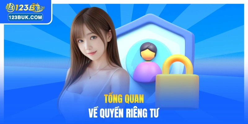 Tổng quan về quyền riêng tư